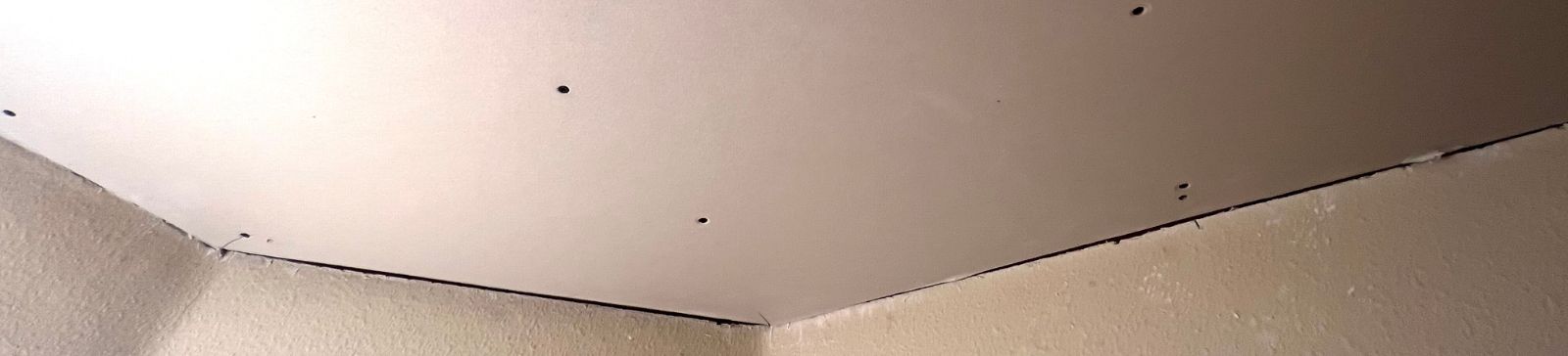 Drywall Ceiling Repair